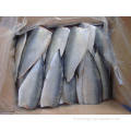 Exportation de fruits de mer Frozen Mackerel Filet Prix Poisson